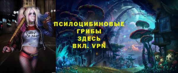 spice Балахна