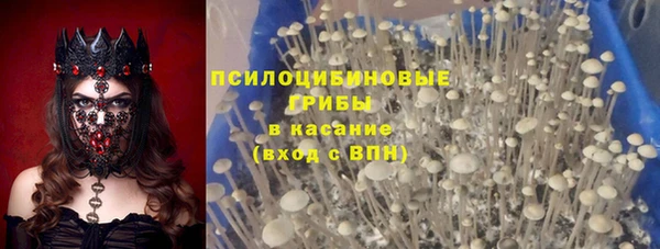 spice Балахна