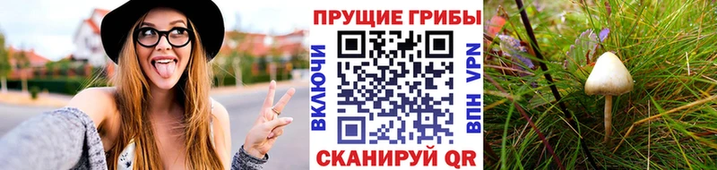 Псилоцибиновые грибы Magic Shrooms  площадка официальный сайт  Сегежа  цены  