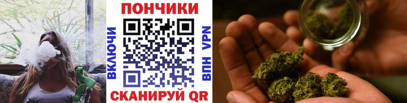 Бошки Шишки гибрид  Сегежа 